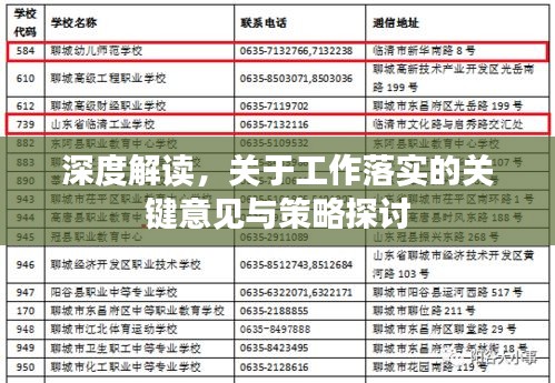 深度解读，关于工作落实的关键意见与策略探讨