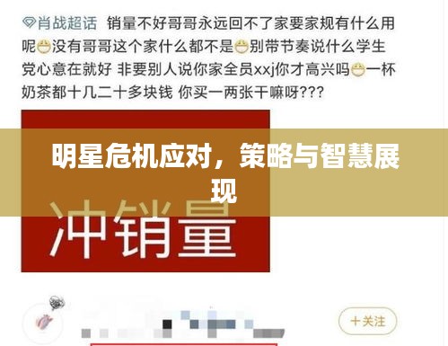明星危机应对，策略与智慧展现