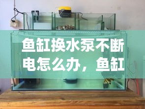 鱼缸换水泵不断电怎么办，鱼缸换水泵一直开着吗 