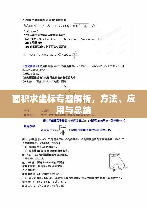 面积求坐标专题解析，方法、应用与总结