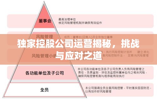 独家控股公司运营揭秘，挑战与应对之道