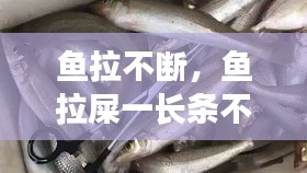 鸷鸟不群 第2页