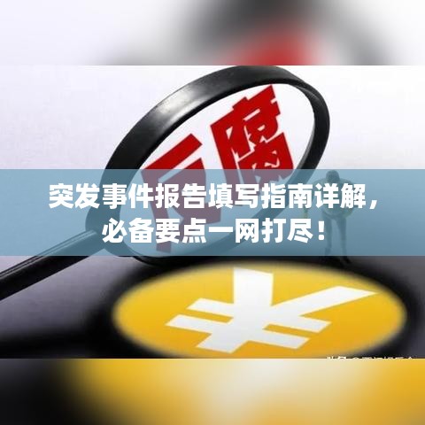 突发事件报告填写指南详解，必备要点一网打尽！