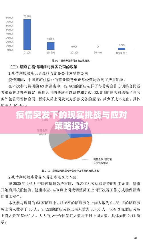 疫情突发下的现实挑战与应对策略探讨