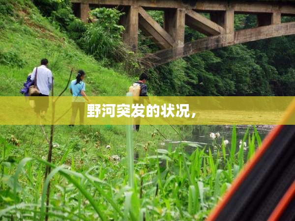 野河突发的状况， 