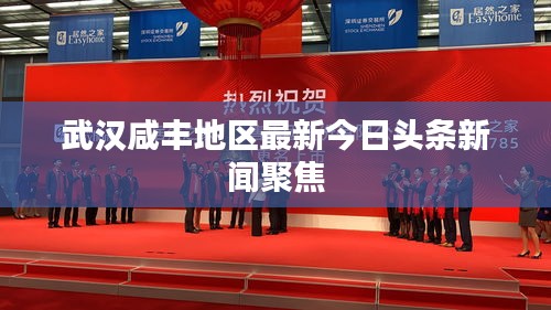 武汉咸丰地区最新今日头条新闻聚焦