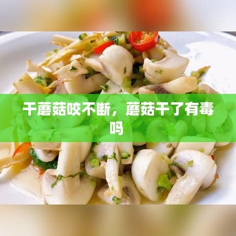 干蘑菇咬不断，蘑菇干了有毒吗 