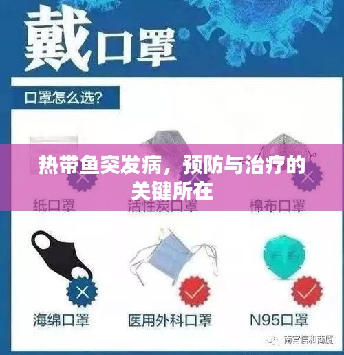 热带鱼突发病，预防与治疗的关键所在