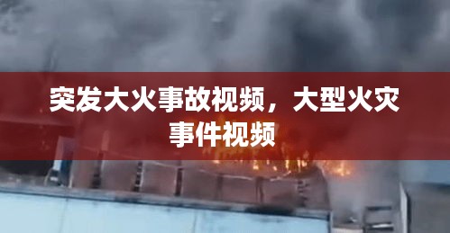 突发大火事故视频，大型火灾事件视频 