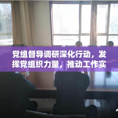 党组督导调研深化行动，发挥党组织力量，推动工作实践创新前行
