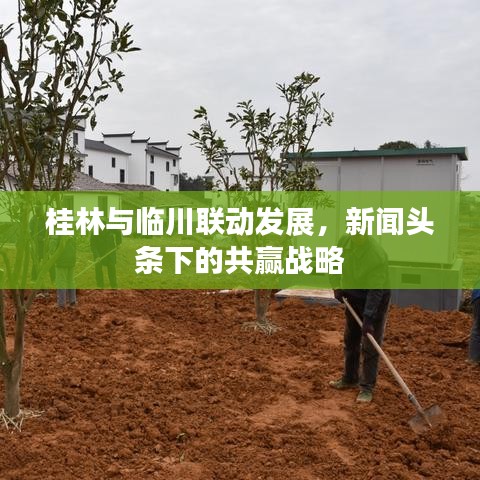 桂林与临川联动发展，新闻头条下的共赢战略