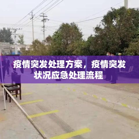 疫情突发处理方案，疫情突发状况应急处理流程 