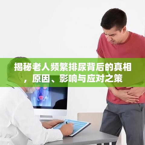 揭秘老人频繁排尿背后的真相，原因、影响与应对之策