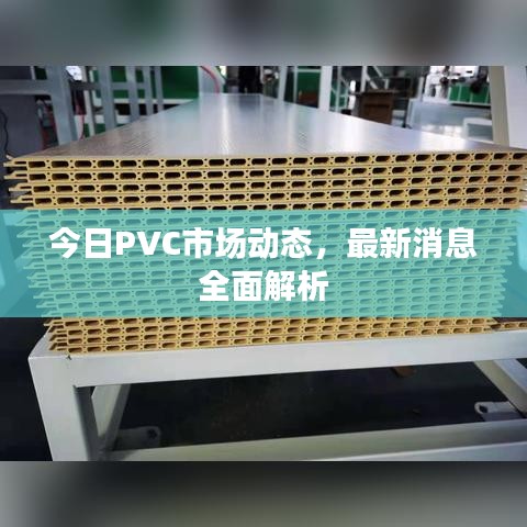 今日PVC市场动态，最新消息全面解析