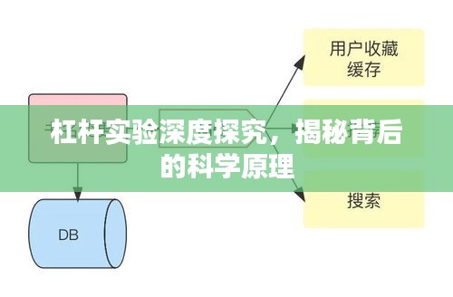 杠杆实验深度探究，揭秘背后的科学原理