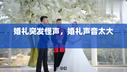 婚礼突发怪声，婚礼声音太大 