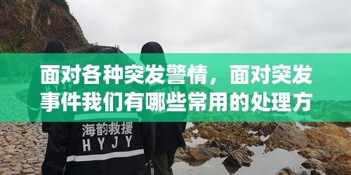 面对各种突发警情，面对突发事件我们有哪些常用的处理方法 
