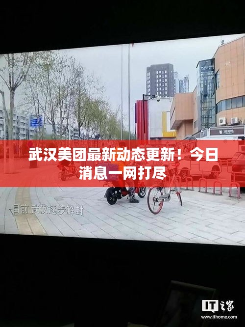 武汉美团最新动态更新！今日消息一网打尽