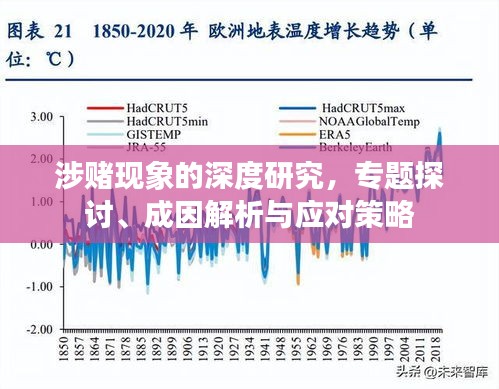 涉赌现象的深度研究，专题探讨、成因解析与应对策略