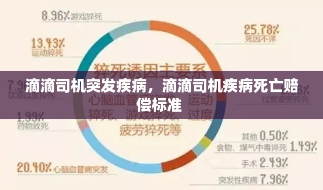 滴滴司机突发疾病，滴滴司机疾病死亡赔偿标准 