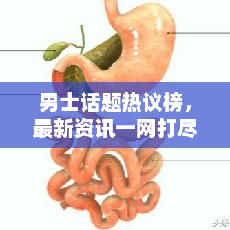 男士话题热议榜，最新资讯一网打尽