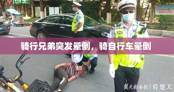 千辛万苦 第2页