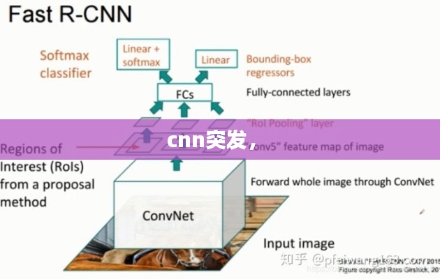 cnn突发， 