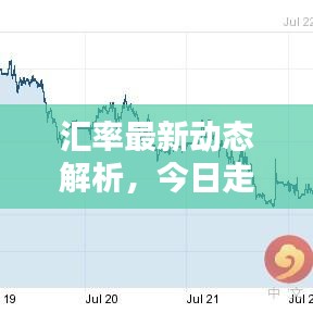 汇率最新动态解析，今日走势图一览