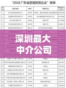 深圳最大中介公司排名榜单揭晓！