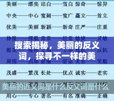 搜索揭秘，美丽的反义词，探寻不一样的美