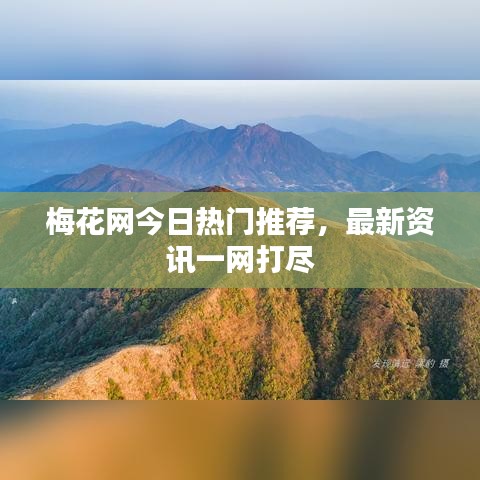 梅花网今日热门推荐，最新资讯一网打尽