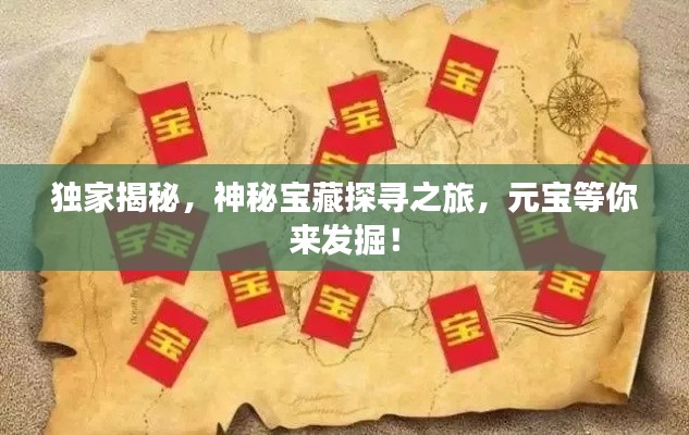 独家揭秘，神秘宝藏探寻之旅，元宝等你来发掘！