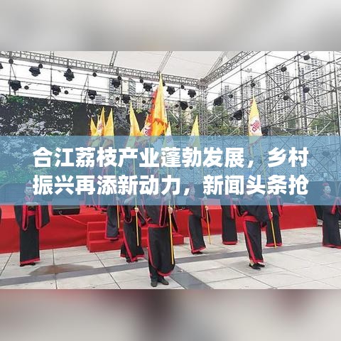 合江荔枝产业蓬勃发展，乡村振兴再添新动力，新闻头条抢先看！