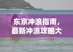 东京冲浪指南，最新冲浪攻略大全