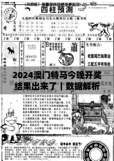2024澳门特马今晚开奖结果出来了｜数据解析计划导向