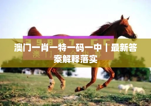 澳门一肖一特一码一中｜最新答案解释落实