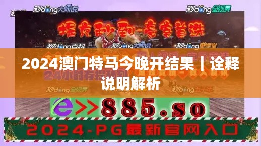 2024澳门特马今晚开结果｜诠释说明解析