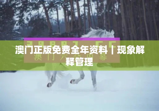 澳门正版免费全年资料｜现象解释管理