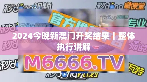 2024今晚新澳门开奖结果｜整体执行讲解