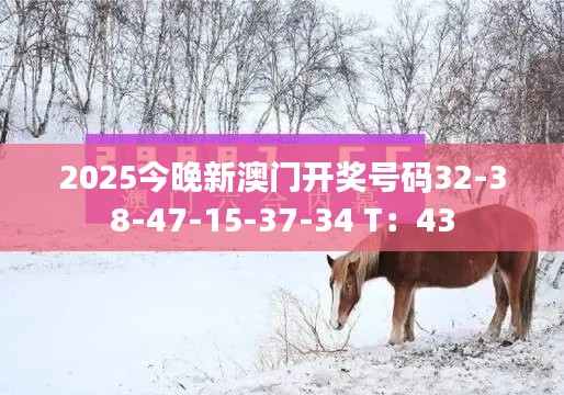 2025今晚新澳门开奖号码32-38-47-15-37-34 T：43