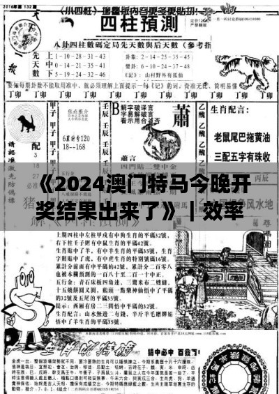 《2024澳门特马今晚开奖结果出来了》｜效率资料解释落实