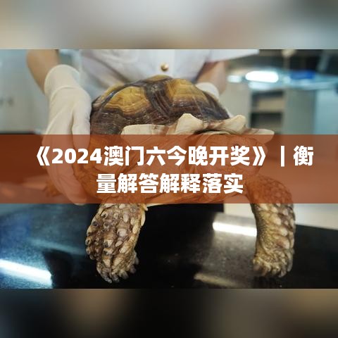 《2024澳门六今晚开奖》｜衡量解答解释落实