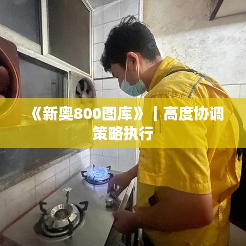 《新奥800图库》｜高度协调策略执行