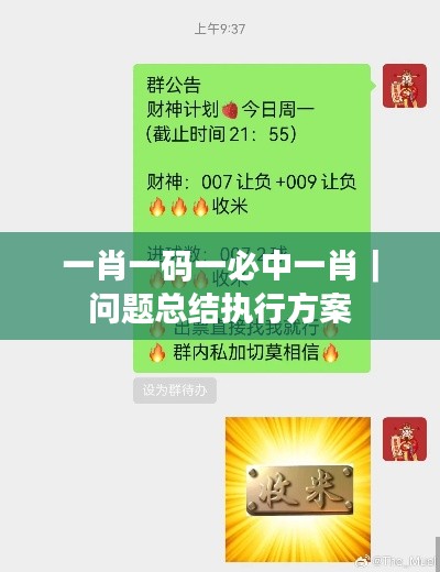 一肖一码一必中一肖｜问题总结执行方案