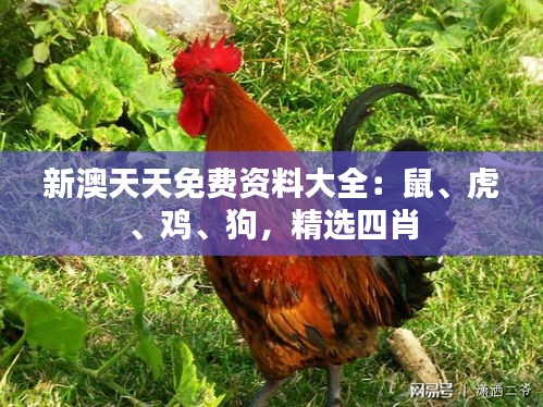 新澳天天免费资料大全：鼠、虎、鸡、狗，精选四肖