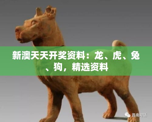 新澳天天开奖资料：龙、虎、兔、狗，精选资料