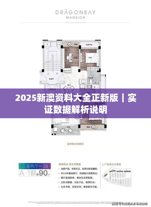 2025新澳资料大全正新版｜实证数据解析说明