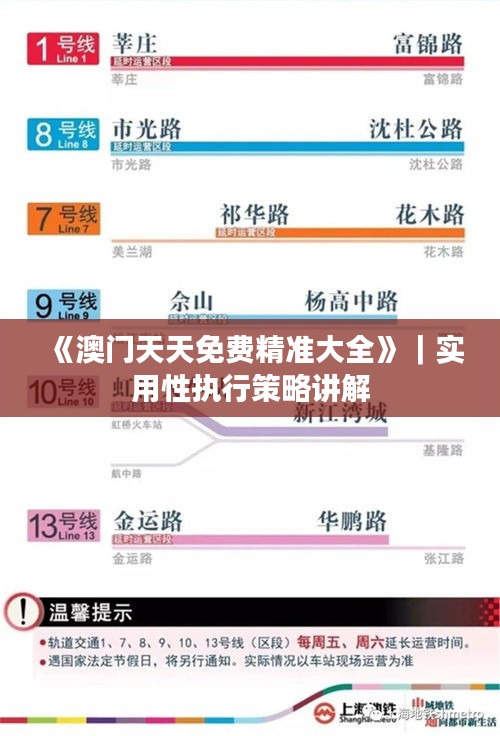 《澳门天天免费精准大全》｜实用性执行策略讲解