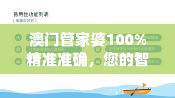 澳门管家婆100%精准准确，您的智能财务顾问
