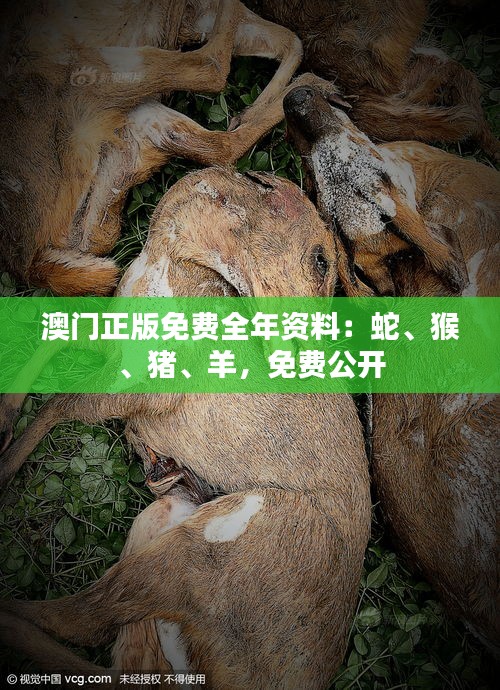 澳门正版免费全年资料：蛇、猴、猪、羊，免费公开